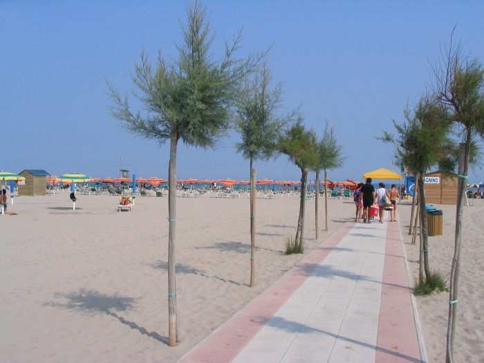 20060908145651.jpg
